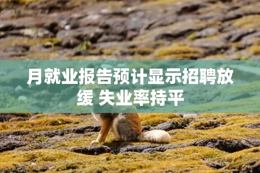 月就业报告预计显示招聘放缓 失业率持平