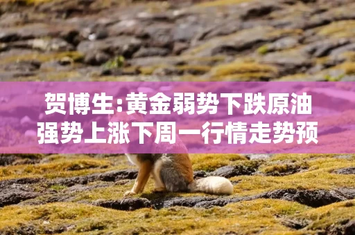 贺博生:黄金弱势下跌原油强势上涨下周一行情走势预测及开盘操作建议