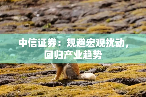 中信证券：规避宏观扰动，回归产业趋势
