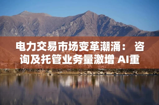 电力交易市场变革潮涌： 咨询及托管业务量激增 AI重构各环节