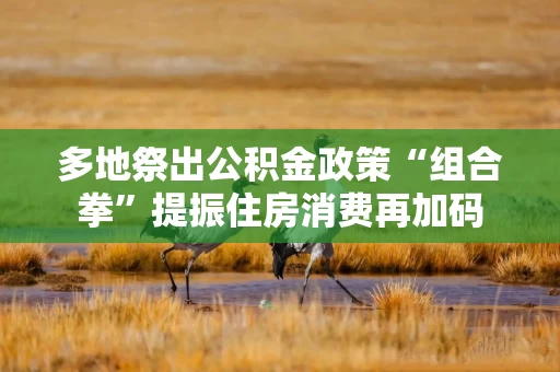 多地祭出公积金政策“组合拳”提振住房消费再加码
