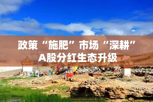 政策“施肥”市场“深耕” A股分红生态升级