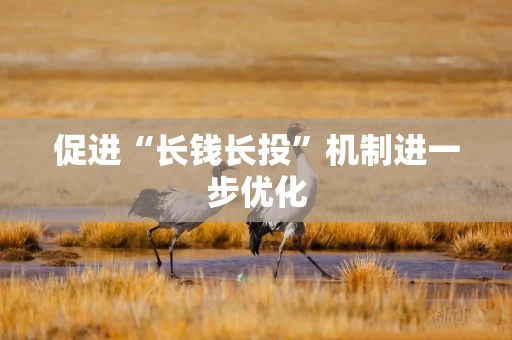 促进“长钱长投”机制进一步优化