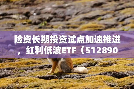 险资长期投资试点加速推进，红利低波ETF（512890）连续三周实现周度份额与规模净增长