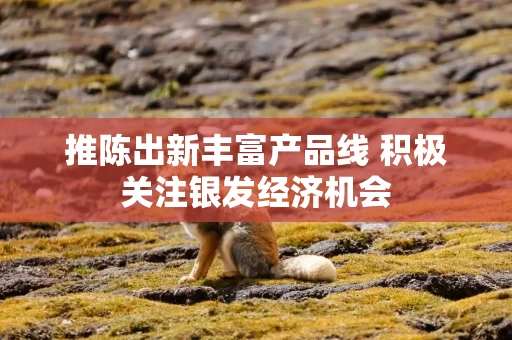 推陈出新丰富产品线 积极关注银发经济机会