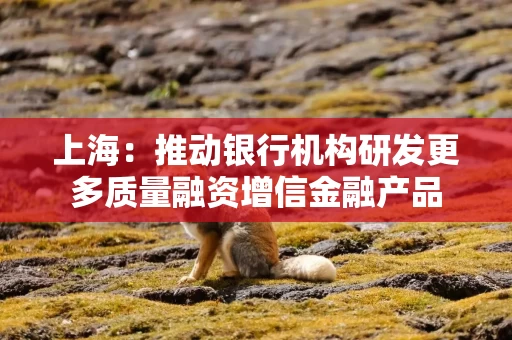 上海：推动银行机构研发更多质量融资增信金融产品