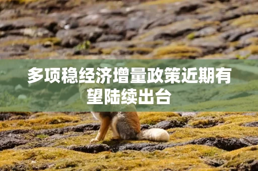 多项稳经济增量政策近期有望陆续出台
