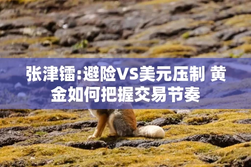 张津镭:避险VS美元压制 黄金如何把握交易节奏
