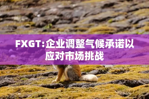 FXGT:企业调整气候承诺以应对市场挑战