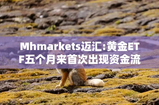 Mhmarkets迈汇:黄金ETF五个月来首次出现资金流出