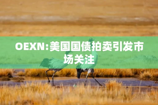 OEXN:美国国债拍卖引发市场关注