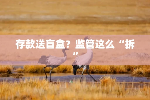 存款送盲盒？监管这么“拆”