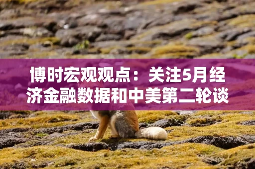 博时宏观观点：关注5月经济金融数据和中美第二轮谈判