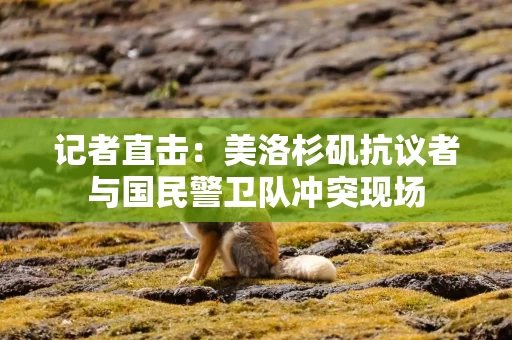 记者直击：美洛杉矶抗议者与国民警卫队冲突现场
