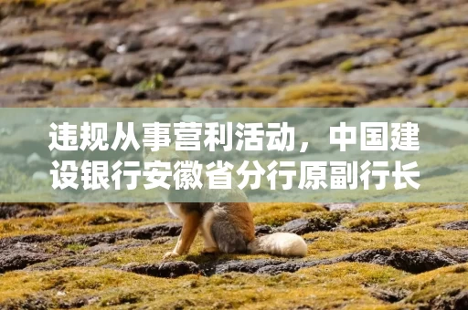 违规从事营利活动，中国建设银行安徽省分行原副行长范绍杰被开除党籍