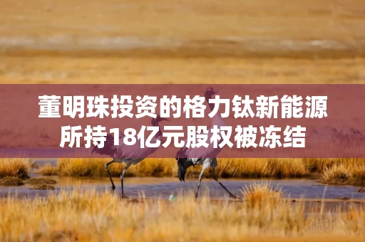 董明珠投资的格力钛新能源所持18亿元股权被冻结
