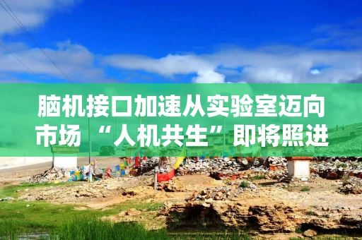 脑机接口加速从实验室迈向市场 “人机共生”即将照进现实
