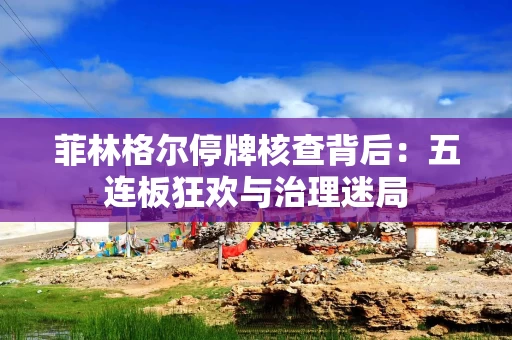 菲林格尔停牌核查背后：五连板狂欢与治理迷局