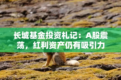 长城基金投资札记：A股震荡，红利资产仍有吸引力