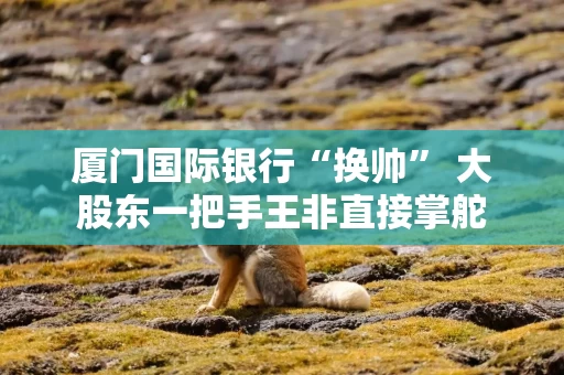厦门国际银行“换帅” 大股东一把手王非直接掌舵