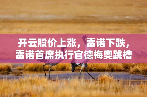 开云股价上涨，雷诺下跌，雷诺首席执行官德梅奥跳槽去了开云