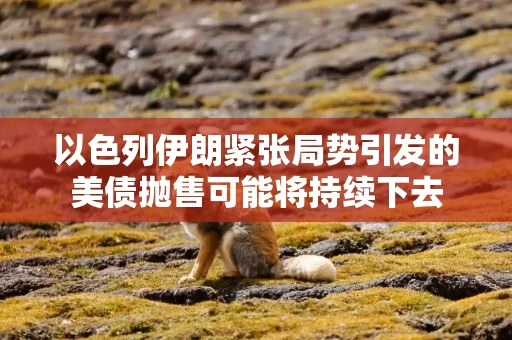 以色列伊朗紧张局势引发的美债抛售可能将持续下去