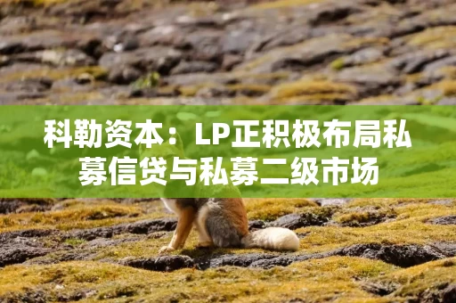 科勒资本：LP正积极布局私募信贷与私募二级市场
