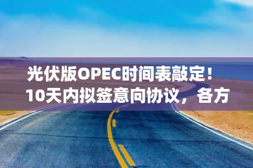 光伏版OPEC时间表敲定！ 10天内拟签意向协议，各方抢当“买家” | 能见派