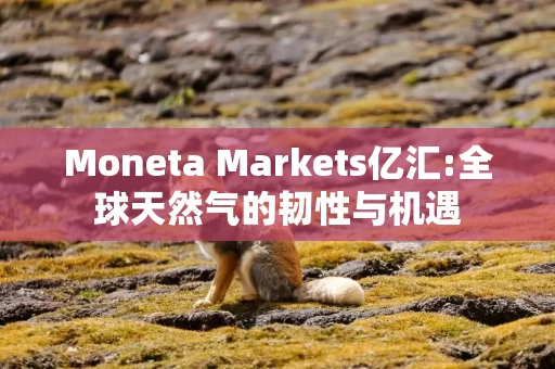Moneta Markets亿汇:全球天然气的韧性与机遇