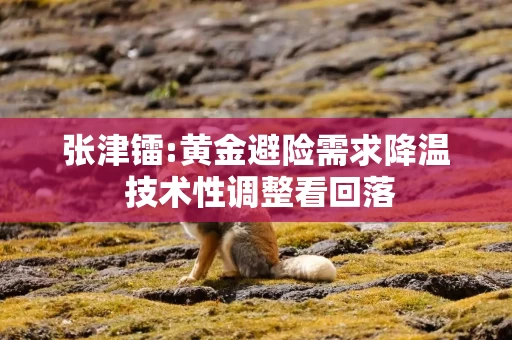 张津镭:黄金避险需求降温 技术性调整看回落