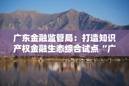 广东金融监管局：打造知识产权金融生态综合试点“广东样板”