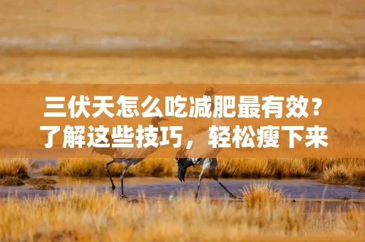 三伏天怎么吃减肥最有效？了解这些技巧，轻松瘦下来！