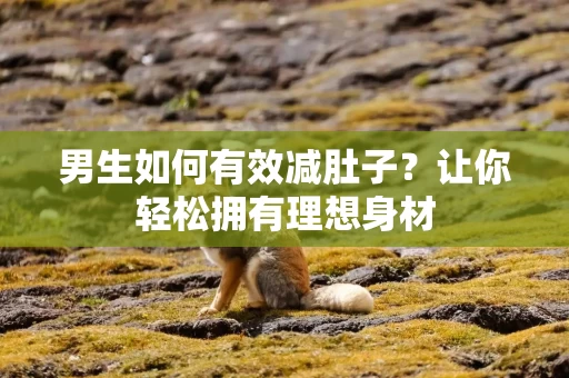 男生如何有效减肚子？让你轻松拥有理想身材