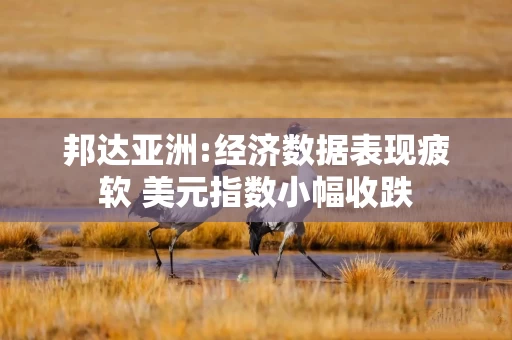 邦达亚洲:经济数据表现疲软 美元指数小幅收跌