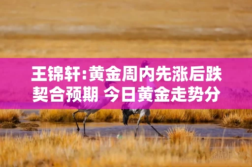 王锦轩:黄金周内先涨后跌契合预期 今日黄金走势分析