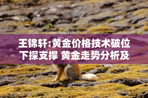 王锦轩:黄金价格技术破位下探支撑 黄金走势分析及操作建议