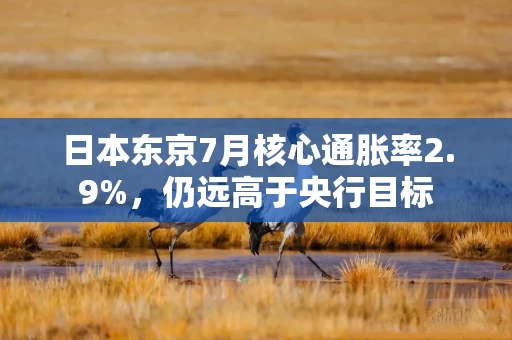 日本东京7月核心通胀率2.9%，仍远高于央行目标