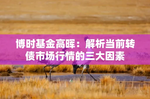 博时基金高晖：解析当前转债市场行情的三大因素