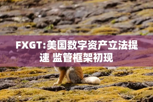 FXGT:美国数字资产立法提速 监管框架初现