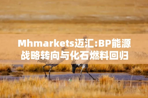 Mhmarkets迈汇:BP能源战略转向与化石燃料回归