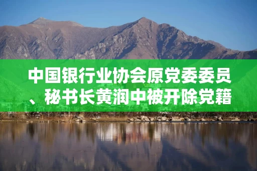 中国银行业协会原党委委员、秘书长黄润中被开除党籍
