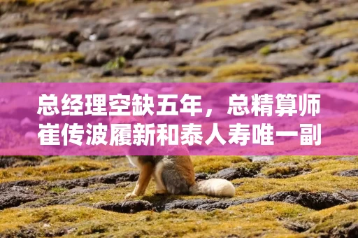 总经理空缺五年，总精算师崔传波履新和泰人寿唯一副总，公司经营困局待解