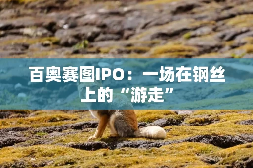 百奥赛图IPO：一场在钢丝上的“游走”