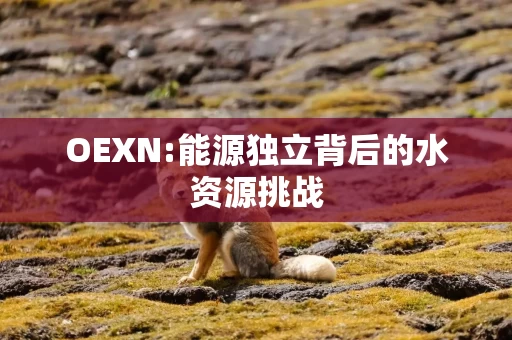 OEXN:能源独立背后的水资源挑战