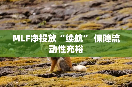 MLF净投放“续航” 保障流动性充裕