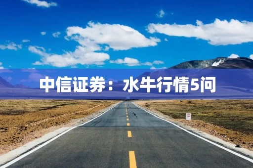 中信证券：水牛行情5问