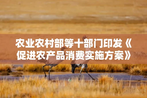 农业农村部等十部门印发《促进农产品消费实施方案》 努力释放“三化”潜力 有力有效扩大农产品消费