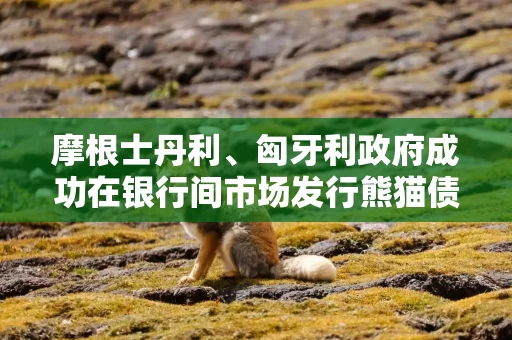 摩根士丹利、匈牙利政府成功在银行间市场发行熊猫债券