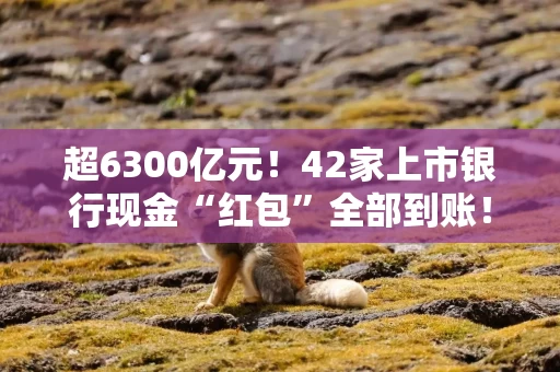 超6300亿元！42家上市银行现金“红包”全部到账！