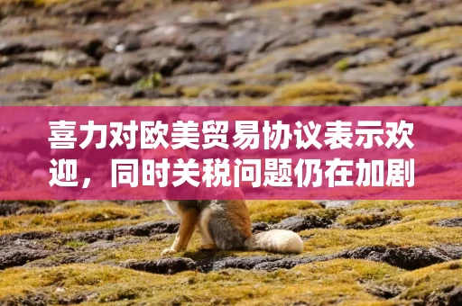 喜力对欧美贸易协议表示欢迎，同时关税问题仍在加剧